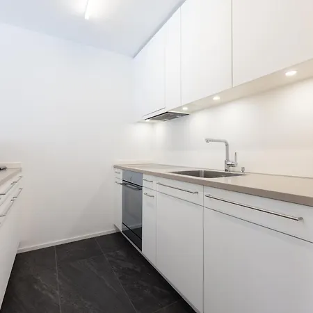 公寓 Modern Crossing Facing Piz Rosatsch 圣莫里茨